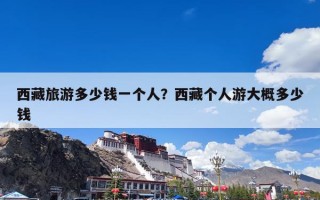 西藏旅游多少钱一个人？西藏个人游大概多少钱