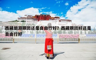 西藏旅游跟团还是自由行好？西藏跟团好还是自由行好
