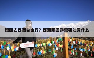 跟团去西藏自由行？西藏跟团游需要注意什么
