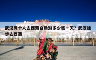 武汉两个人去西藏自助游多少钱一天？武汉徒步去西藏