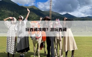 玩西藏攻略？西藏旅游应该如何玩求攻略