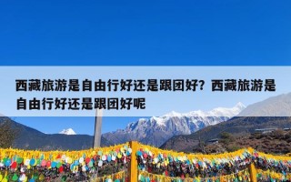 西藏旅游是自由行好还是跟团好？西藏旅游是自由行好还是跟团好呢