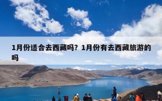 1月份适合去西藏吗？1月份有去西藏旅游的吗