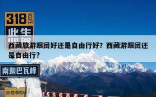 西藏旅游跟团好还是自由行好？西藏游跟团还是自由行?