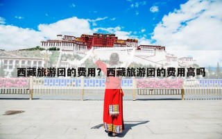西藏旅游团的费用？西藏旅游团的费用高吗