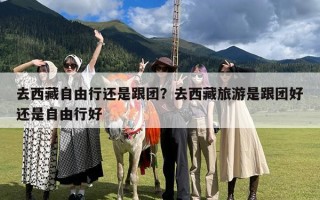 去西藏自由行还是跟团？去西藏旅游是跟团好还是自由行好