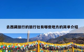 去西藏旅行的旅行社有哪些地方的简单介绍