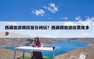 西藏旅游跟团报价纯玩？西藏跟旅游团费用多少