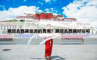 跟团去西藏旅游的费用？跟团去西藏好玩吗
