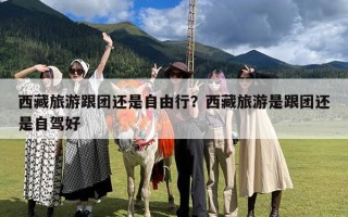 西藏旅游跟团还是自由行？西藏旅游是跟团还是自驾好