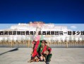 西藏旅游跟团费用？去西藏跟团玩一趟多少钱