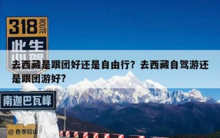 去西藏是跟团好还是自由行？去西藏自由行和跟团哪个更划算？