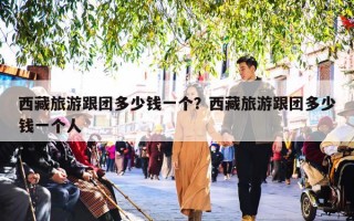 西藏旅游跟团多少钱一个？西藏旅游跟团多少钱一个人