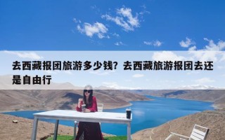去西藏报团旅游多少钱？去西藏旅游报团去还是自由行