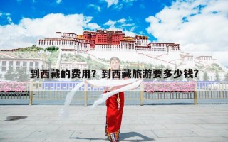 到西藏的费用？到西藏旅游要多少钱?
