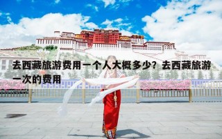 去西藏旅游费用一个人大概多少？去西藏旅游一次的费用