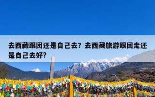 去西藏跟团还是自己去？去西藏旅游跟团走还是自己去好?