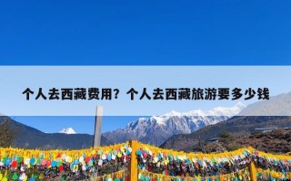 个人去西藏费用？个人去西藏旅游要多少钱