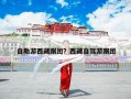 自助游西藏跟团？西藏旅游是自由行好还是跟团好？