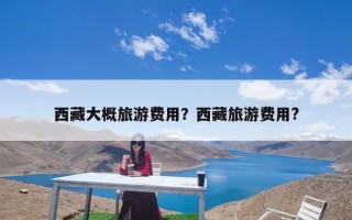西藏大概旅游费用？西藏旅游费用?