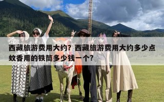西藏旅游费用大约？西藏旅游费用大约多少点蚊香用的铁筒多少钱一个?