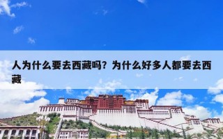人为什么要去西藏吗？为什么好多人都要去西藏