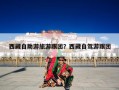 西藏自助游旅游跟团？去西藏自驾游还是跟团好？
