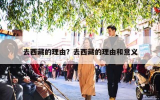 去西藏的理由？去西藏的理由和意义