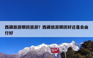 西藏旅游跟团旅游？西藏旅游跟团好还是自由行好