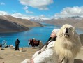 四月去西藏必备的旅游物品有哪些？四月份去西藏需要准备些什么？
