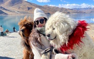 春节西藏旅游收费贵吗？过年去西藏玩一趟大概要多少钱？