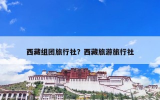 西藏组团旅行社？西藏旅游旅行社