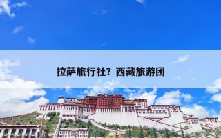 拉萨旅行社？西藏旅游团