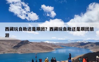 西藏玩自助还是跟团？西藏玩自助还是跟团旅游