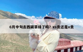 6月中旬去西藏草绿了吗？xs贵还是x贵