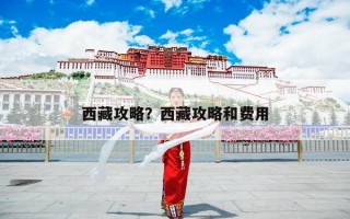 西藏攻略？西藏应该如何旅游求攻略