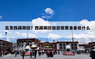 出发西藏跟团？西藏跟团旅游需要准备些什么?