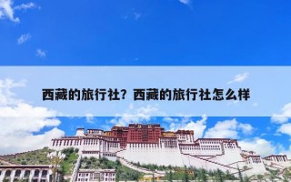 西藏的旅行社？西藏的旅行社怎么样