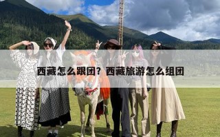 西藏怎么跟团？西藏旅游怎么组团