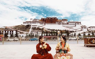 去西藏旅游花费一般是多少钱？带老妈去西藏旅游一趟费用多少钱？