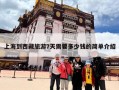 上海到西藏旅游7天需要多少钱的简单介绍