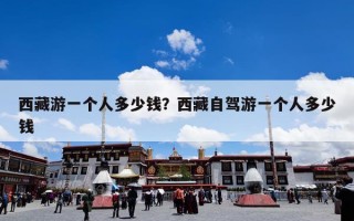 西藏游一个人多少钱？西藏自驾游一个人多少钱