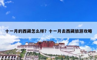 十一月的西藏怎么样？十一月去西藏旅游攻略